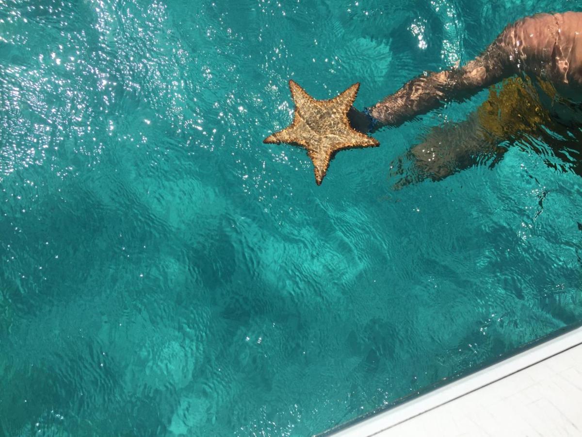 Zannanna F1 De Charme Tout Equipe Le Moule Avec Piscine Exterior photo